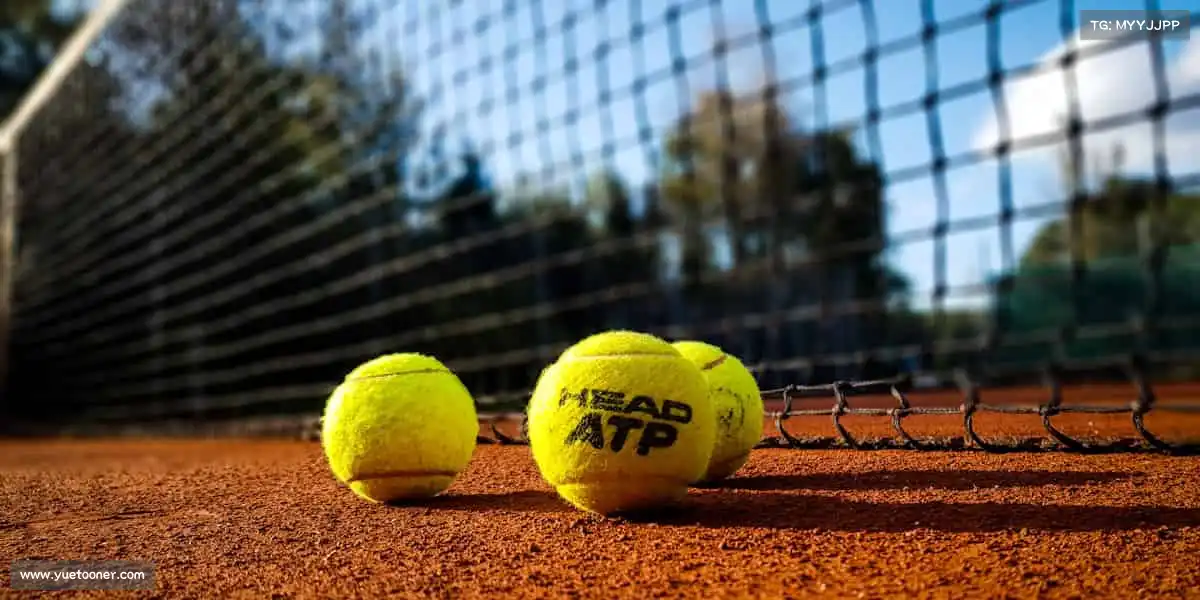 <strong>必一运动</strong>🏆巅峰之路，始于足下！和我们一起，让热爱点燃每一个瞬间！